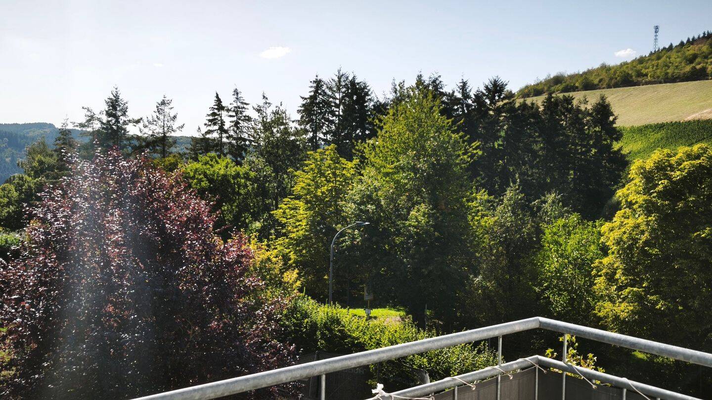 2ZKB/41m² altersgerecht im EG mit Blick in die Weinberge, 54317 Kasel