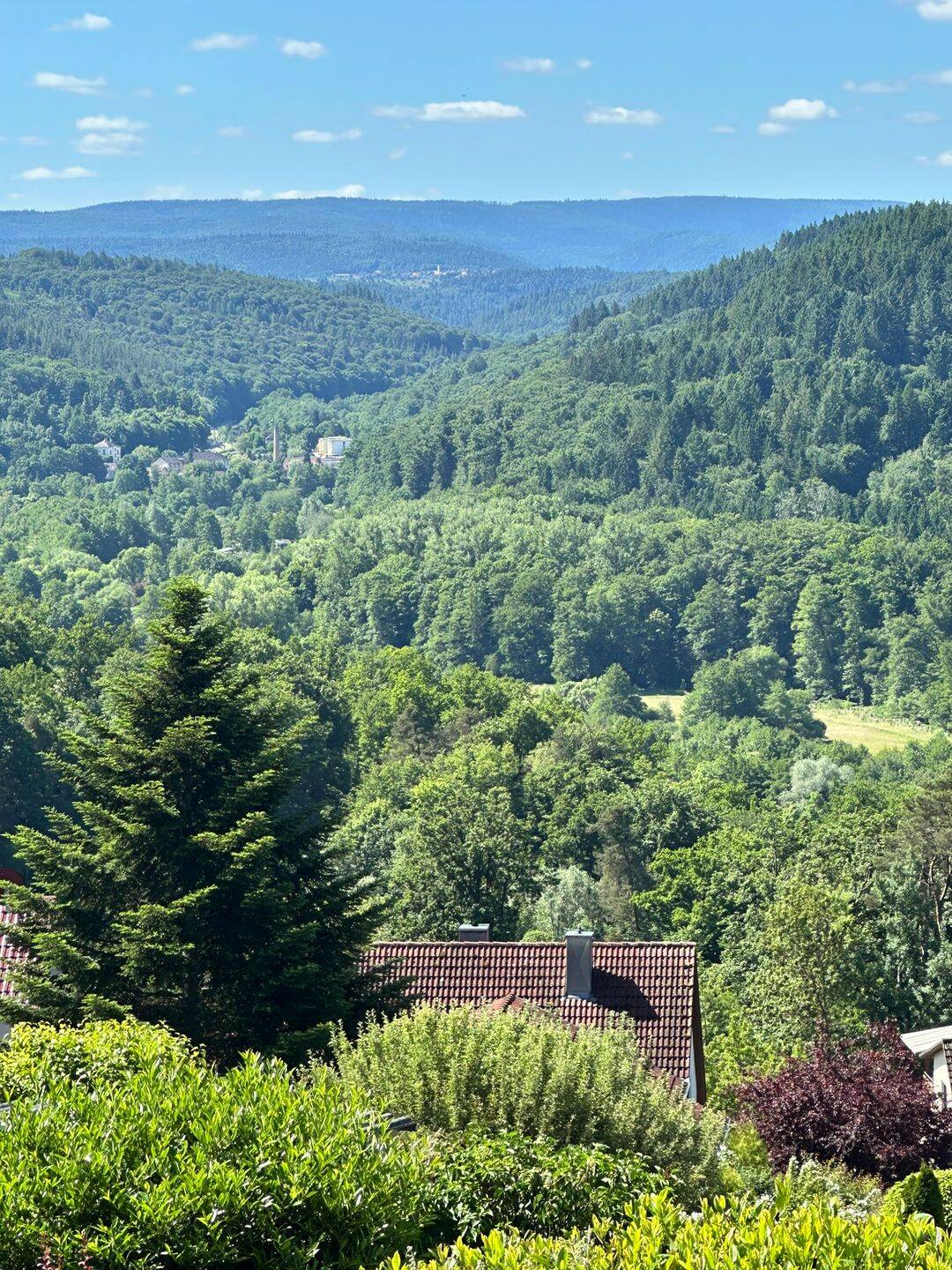 LAGE, LAGE, LAGE – DHH auf schönem Grundstück mit TraumBLICK ins Albtal in Busenbach, 76337 Waldbronn