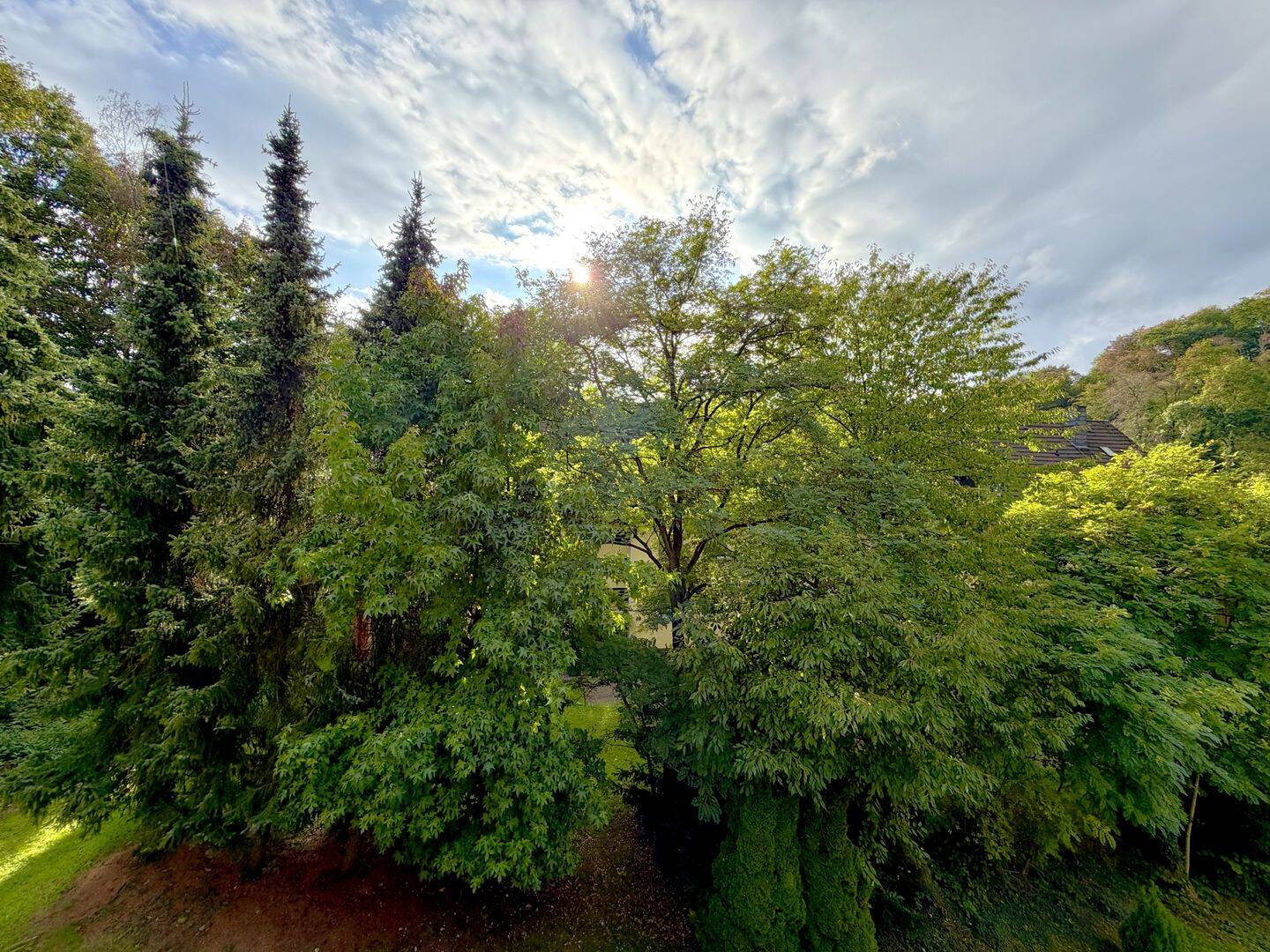 Wohnung mit Blick ins Grüne in Dahlhausen, 44879 Bochum (Dahlhausen Linden)