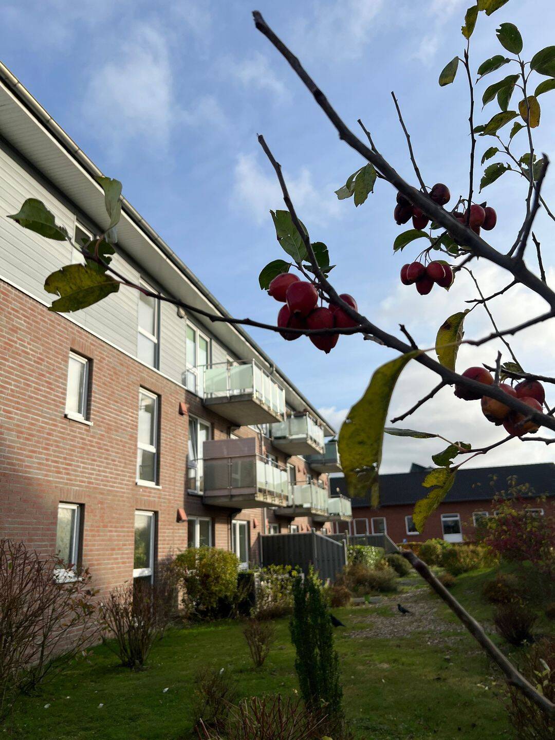 seniorengerechte 2-Zimmer-Wohnung mit Terrasse, 24939 Flensburg (Altstadt Neustadt Nordstadt Westliche Höhe)