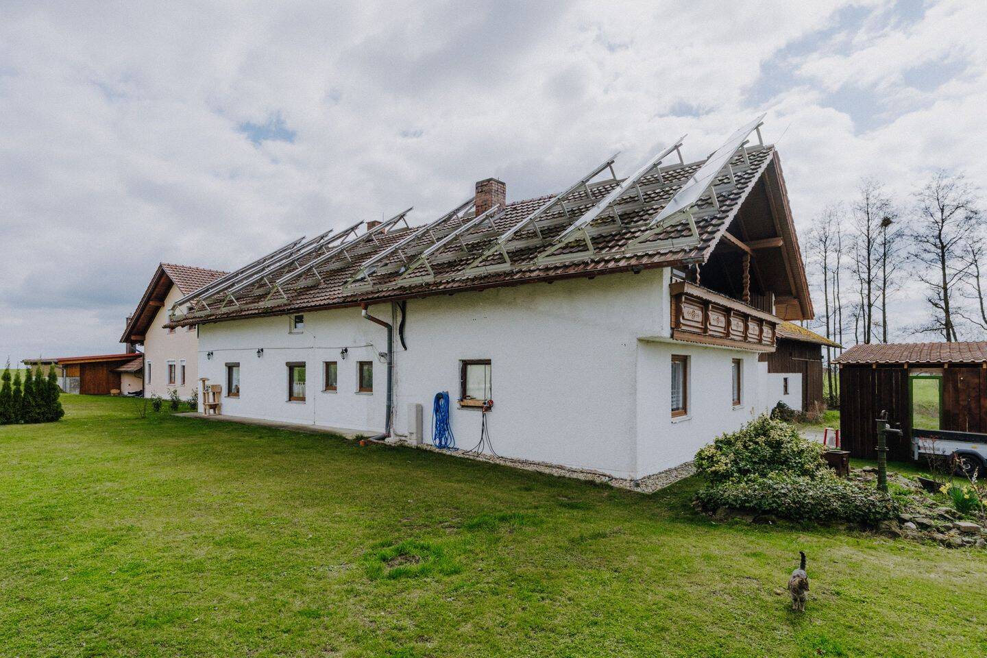Bild 7