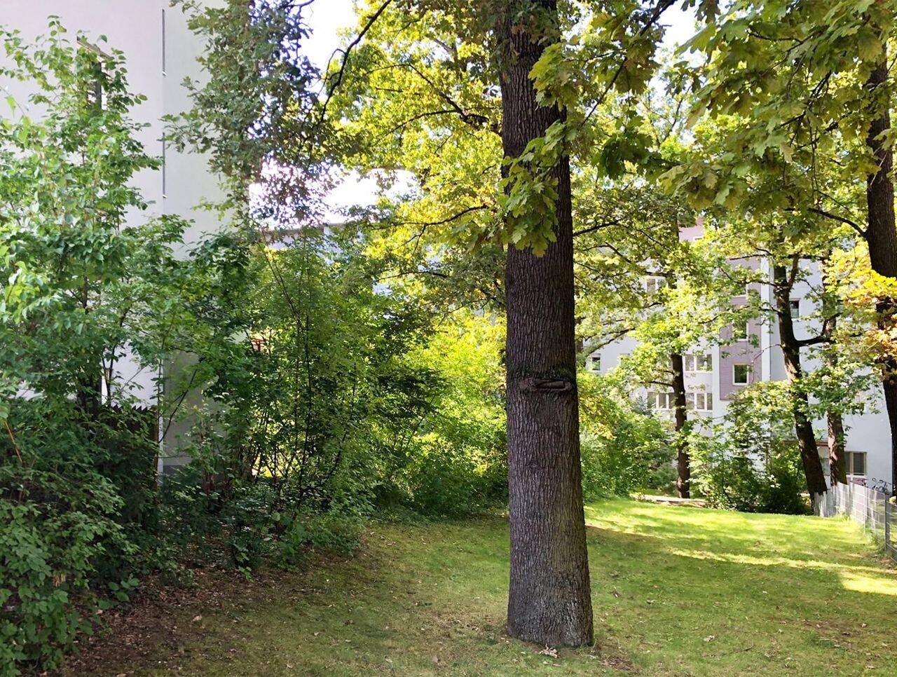 Schöne 3-Zimmer-Wohnung mit Loggia im Nürnberger Süden, 90461 Nürnberg