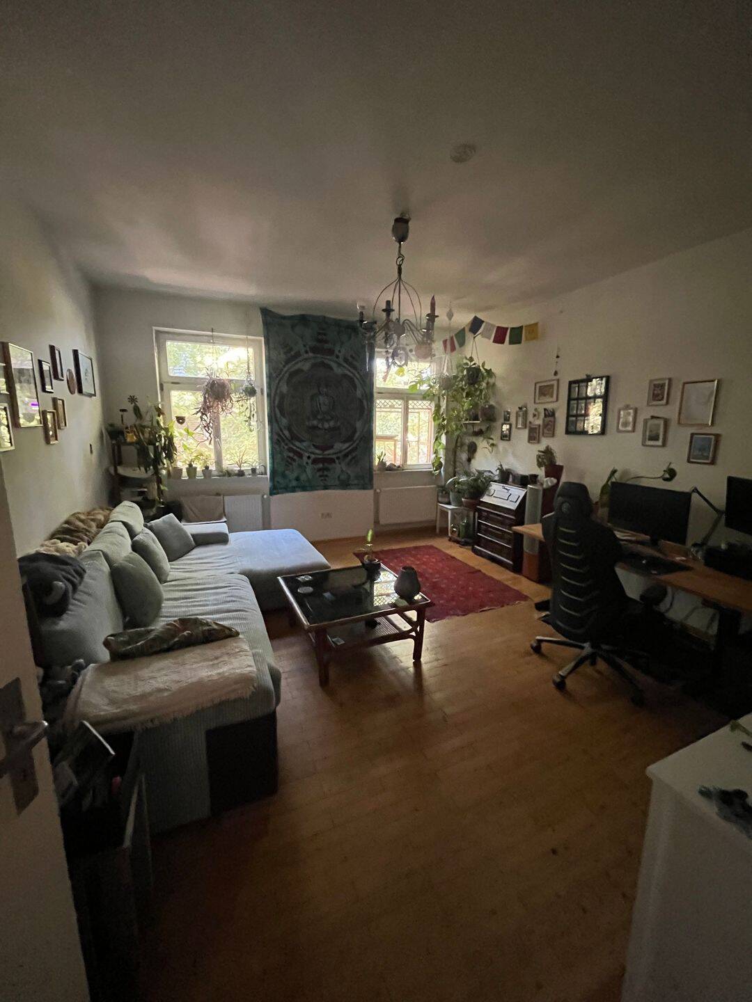 Zwischenmiete in Mannheim 🏡🌿🐈🐈 – mit möglicher WG-Perspektive, 68169 Mannheim (Friesenheimer Insel Industriehafen Neckarstadt)