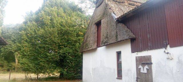 Pferdehof  für Selbstversorger( 4-8) mit Weiden, 27729 Holste