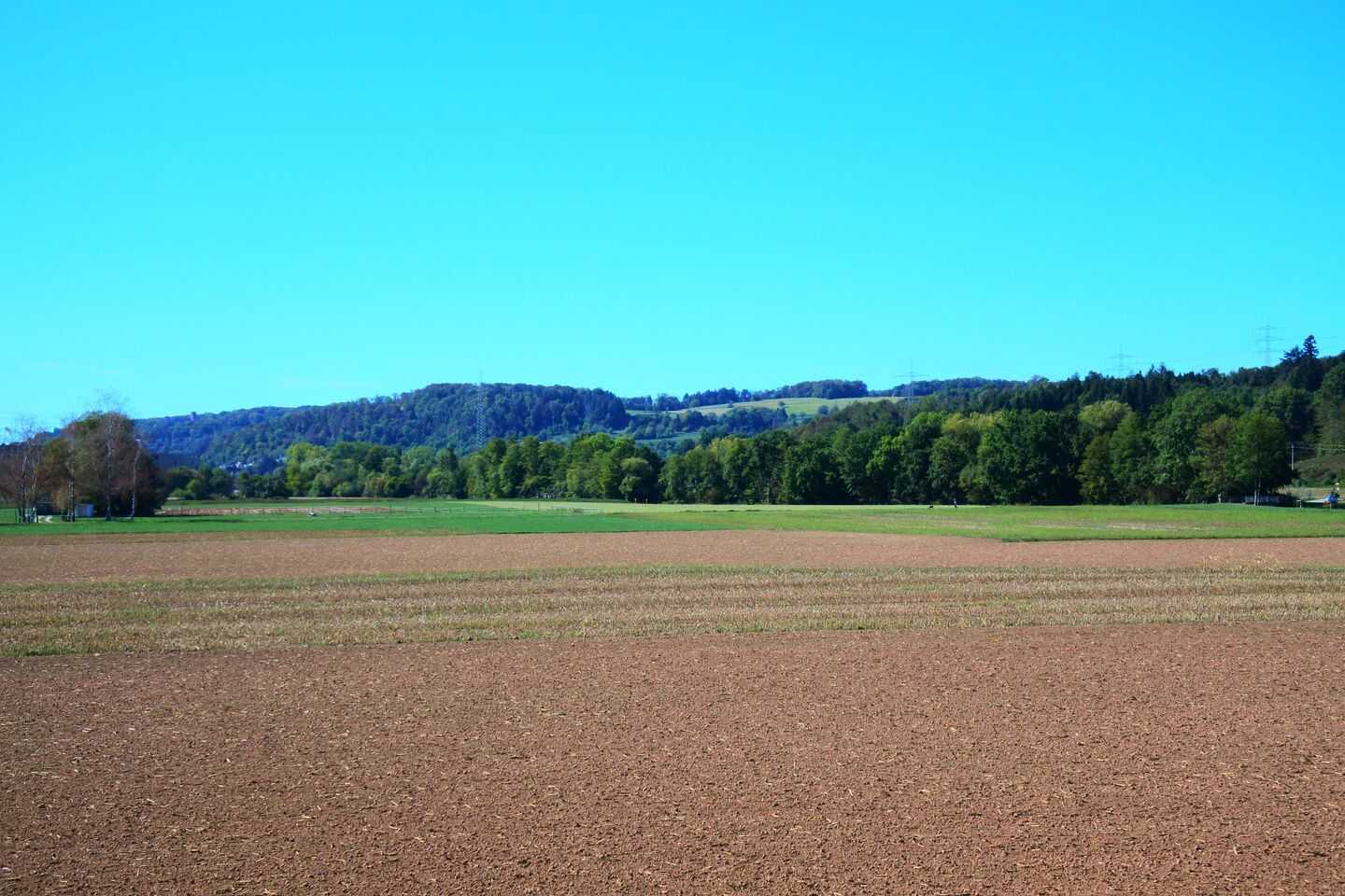 Schön geschnittene 3Zi. Wohnung mit herrlicher Aussicht, 79585 Steinen