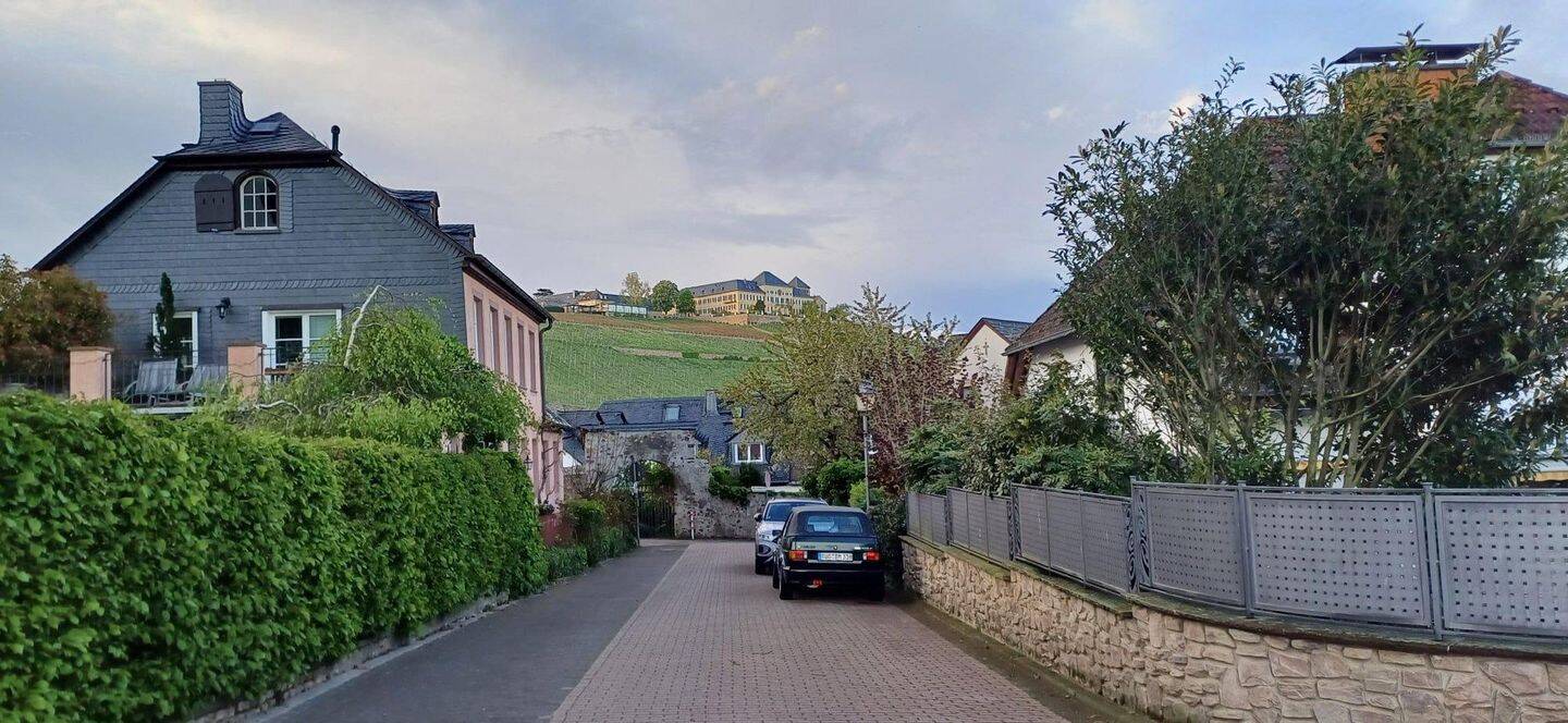 Familienidyll mit Blick auf Schloss Johannisberg, 65366 Geisenheim