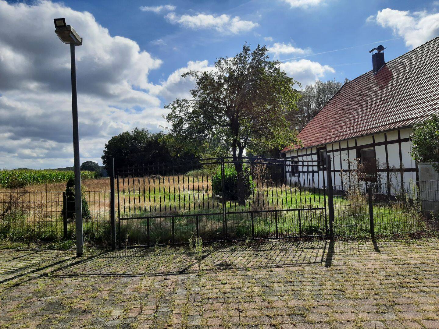 Bild 11