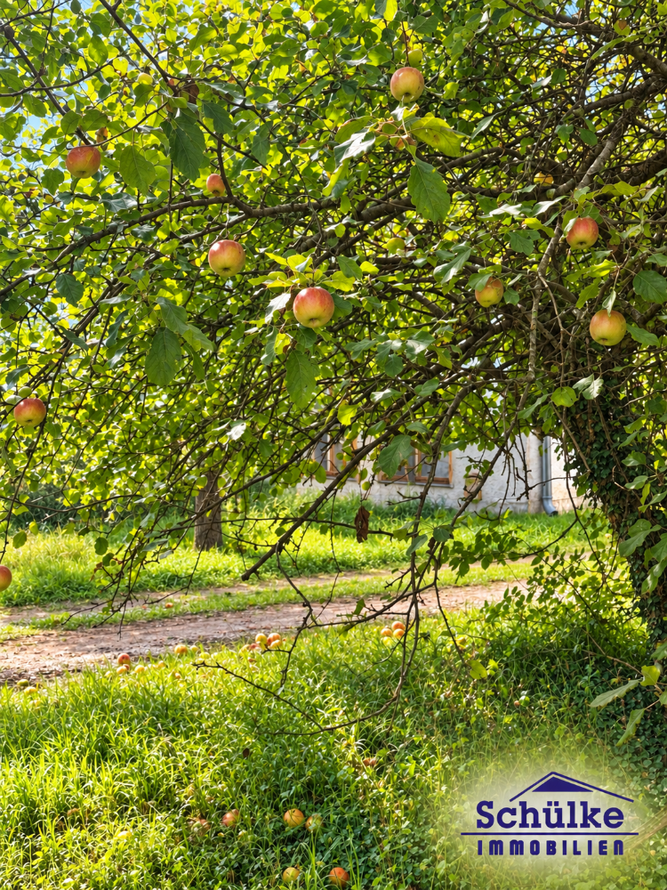Charmantes Bauernhaus für 3er-WG – große Zimmer, Gemeinschaftsküche & ländliche Idylle, 85416 Langenbach