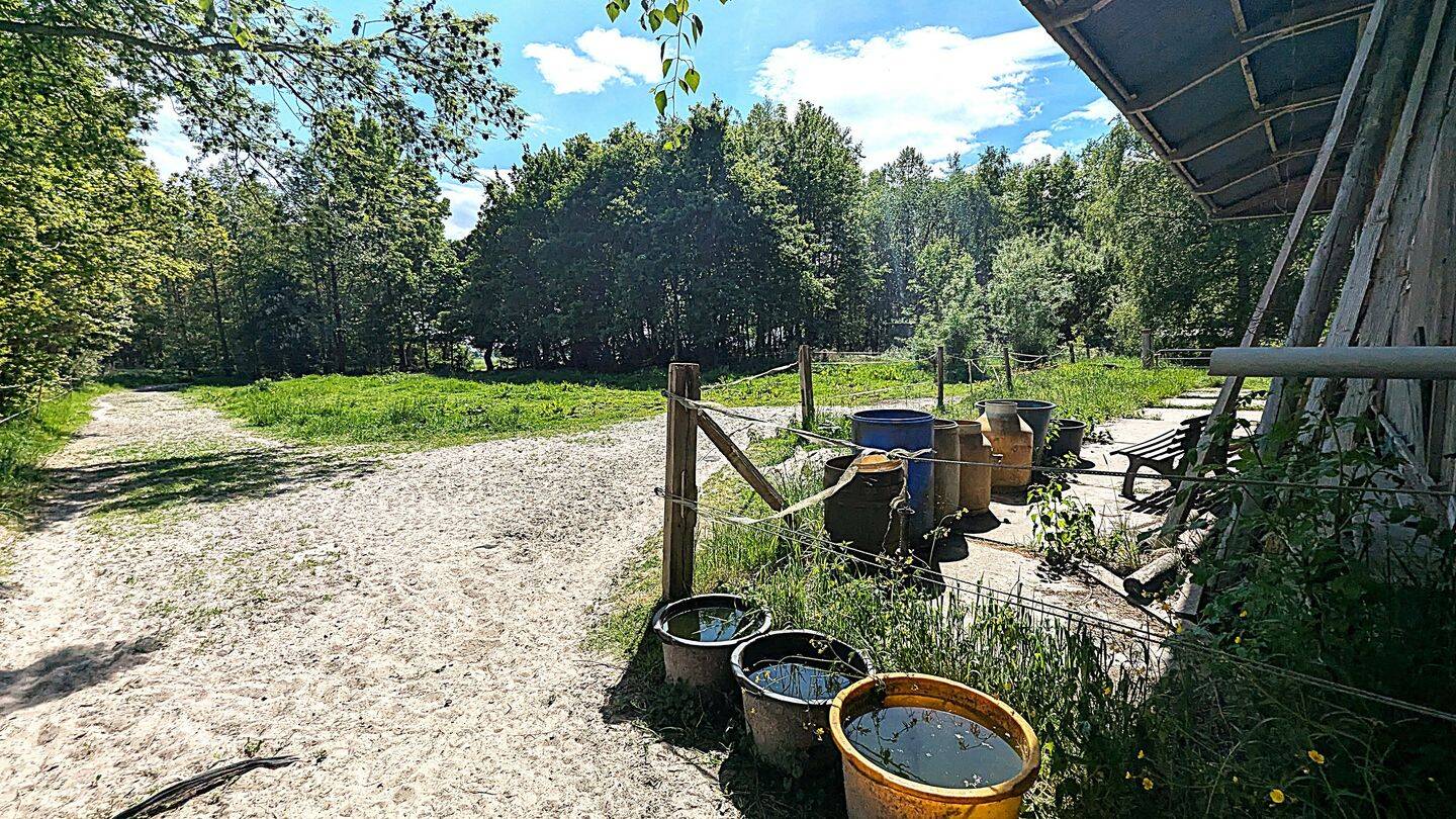 Einzigartige Hofstelle auf 2,3 ha mit eigenem Wald, Stallungen und Weideflächen, 26316 Varel