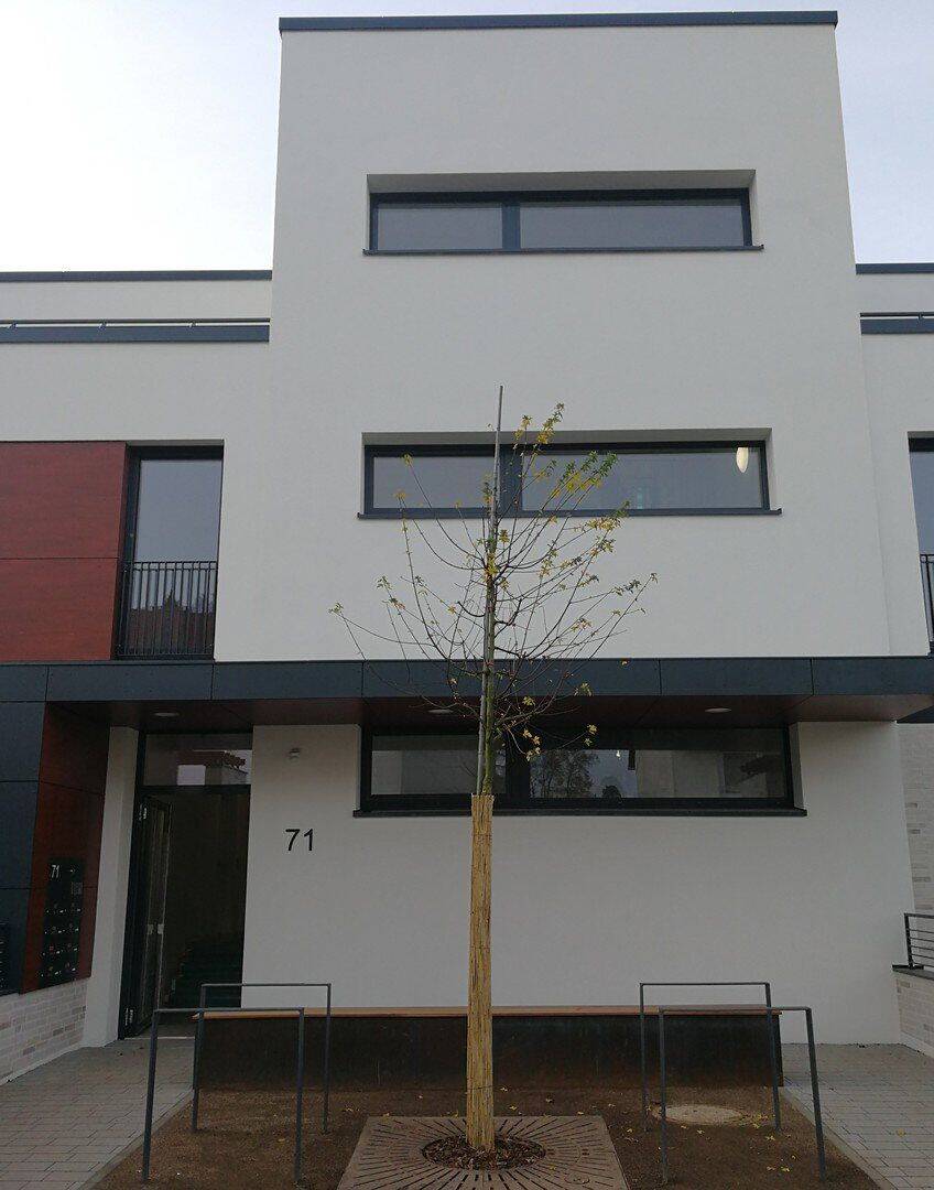 2-Zimmer-Wohnung mit EBK und Balkon in Ingelheimer Gärten/Darmstadt von privat., 64295 Darmstadt (Darmstadt)