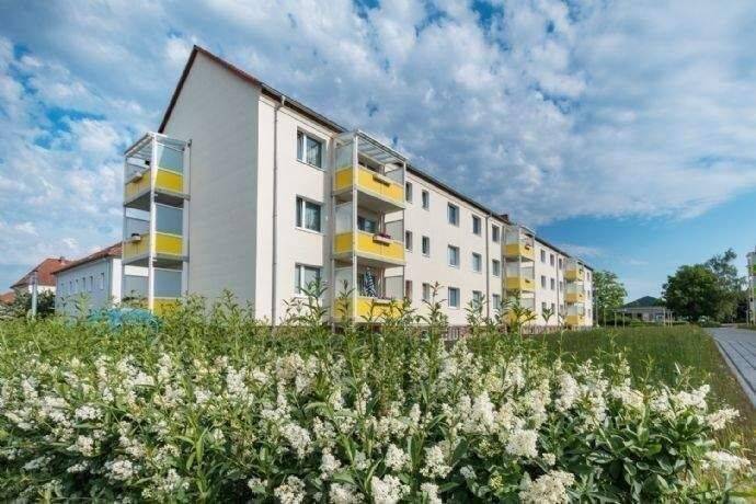 Gemütliche 2-Zimmer-Wohnung in ruhiger Oschatzer Wohnlage, 4758 Oschatz