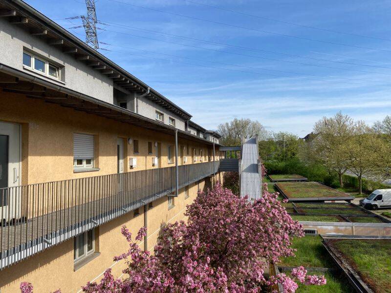 Gemütliche Maisonette-Wohnung in Bismarck, 45881 Gelsenkirchen (Schalke Schalke-Nord)