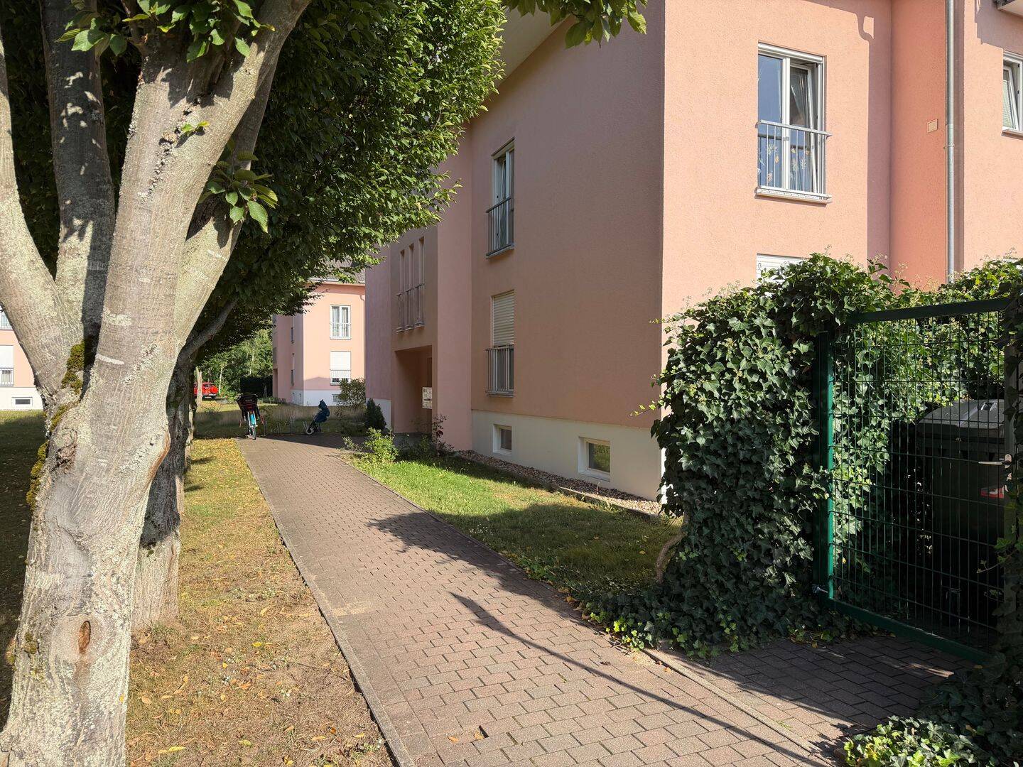 Bild 5