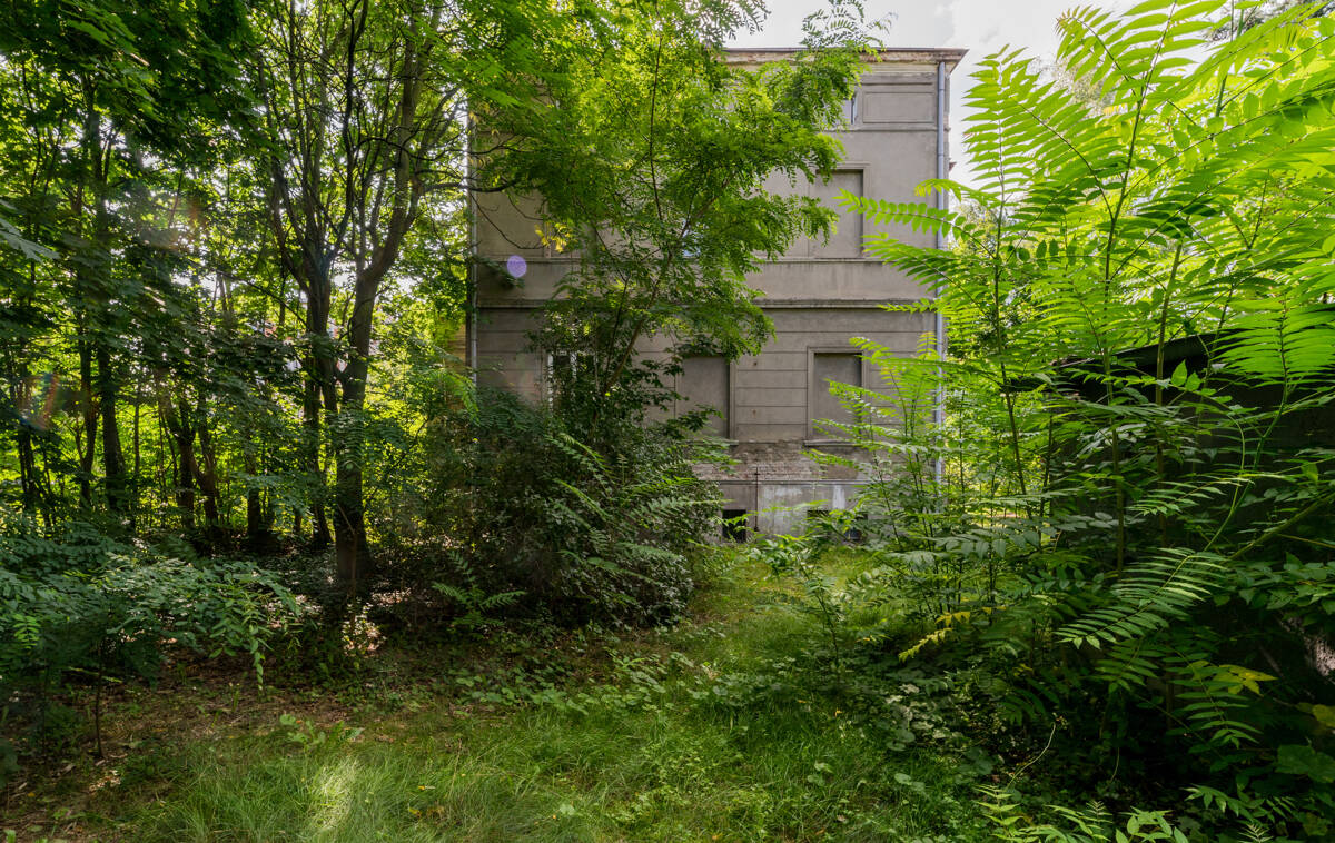 Bild 9