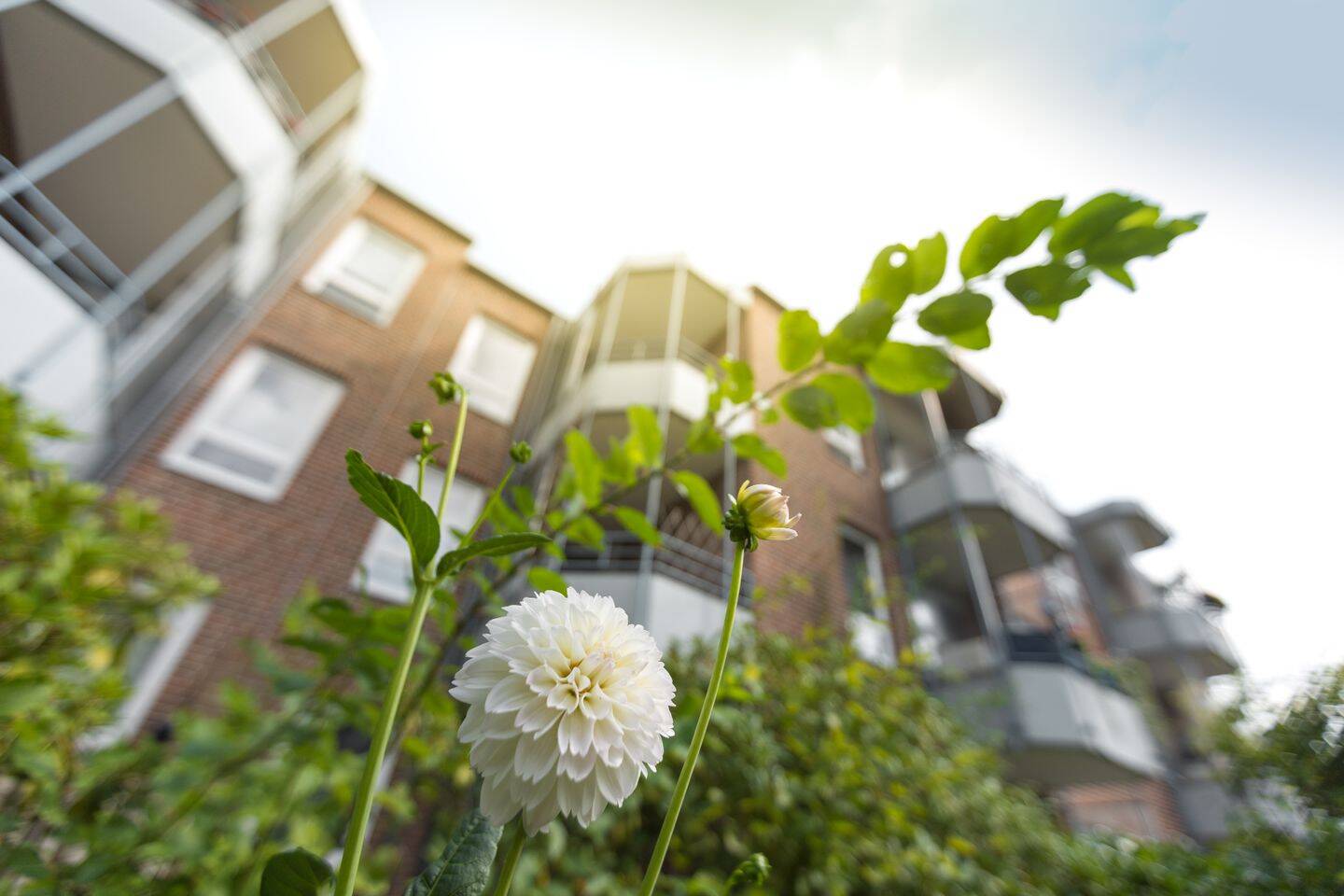 2-Zimmer-Wohnung in begehrter Wohnanlage in Bremerhaven-Geestemünde!, 27570 Bremerhaven (Geestemünde)