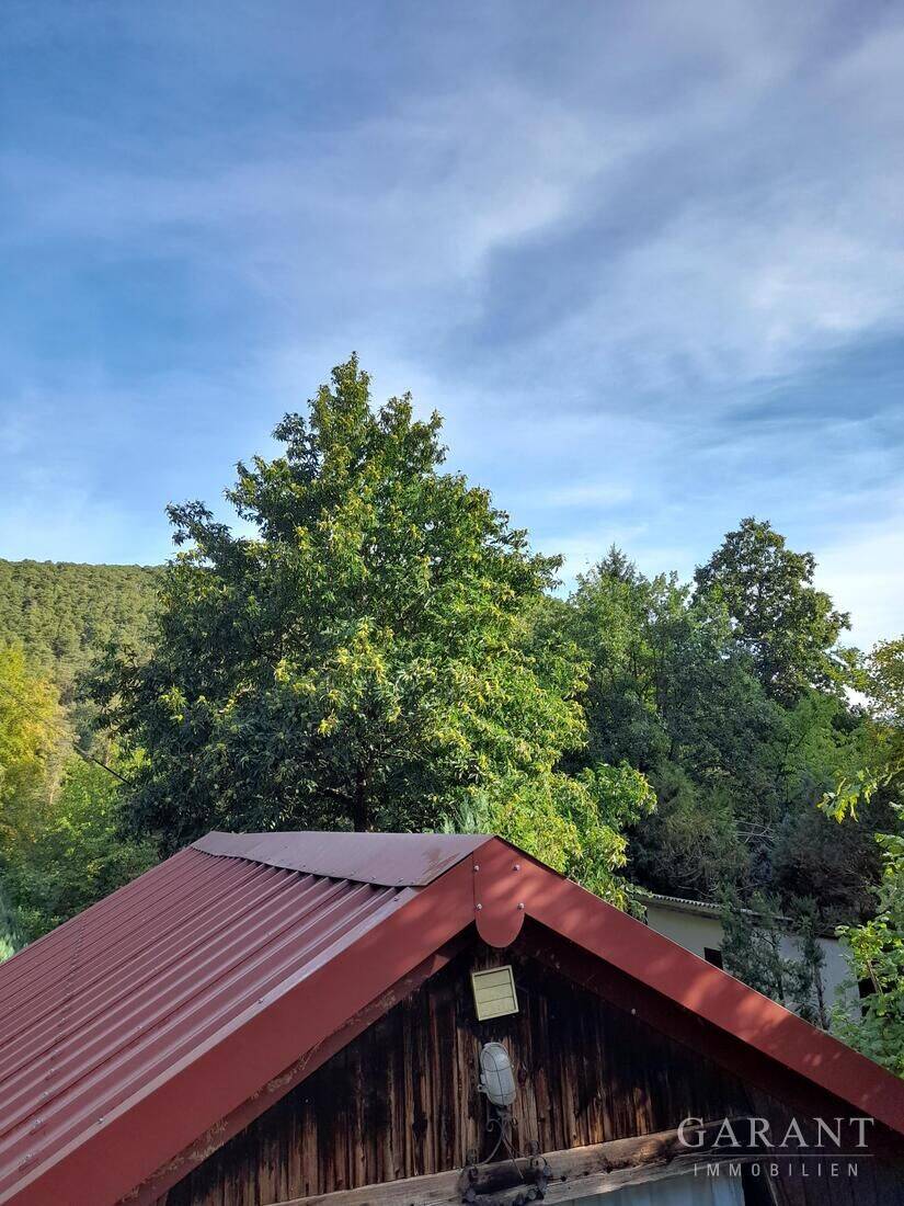 Raus aus dem Alltag – rein in die Natur, 67098 Bad Dürkheim