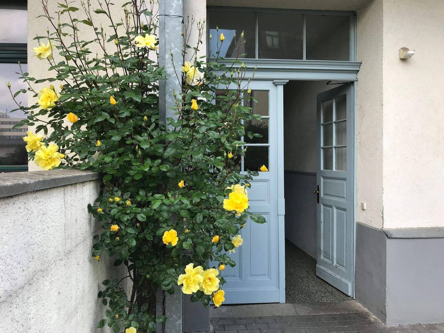 Freundliche 1 Zimmerwohnung im Leipziger Westen, 4229 Leipzig (Kleinzschocher Plagwitz Schleußig)