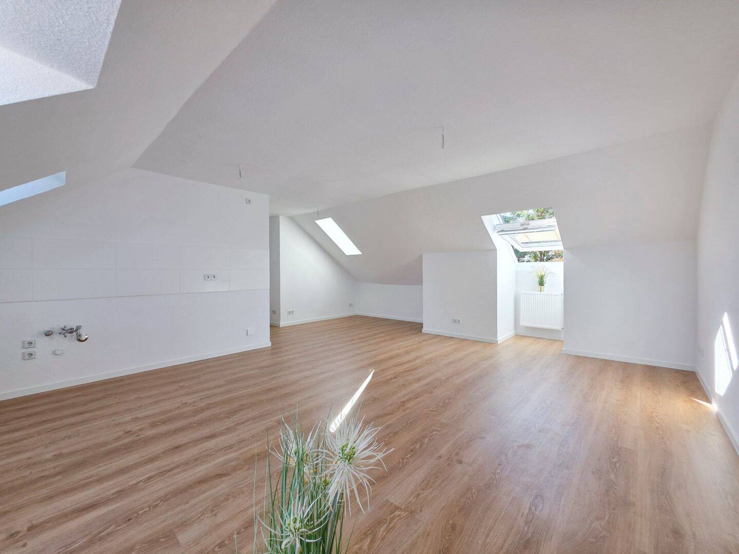 Loftgefühl unterm Dach – frisch saniert in Stadtfeld West.., 39110 Magdeburg (Diesdorf Stadtfeld West)