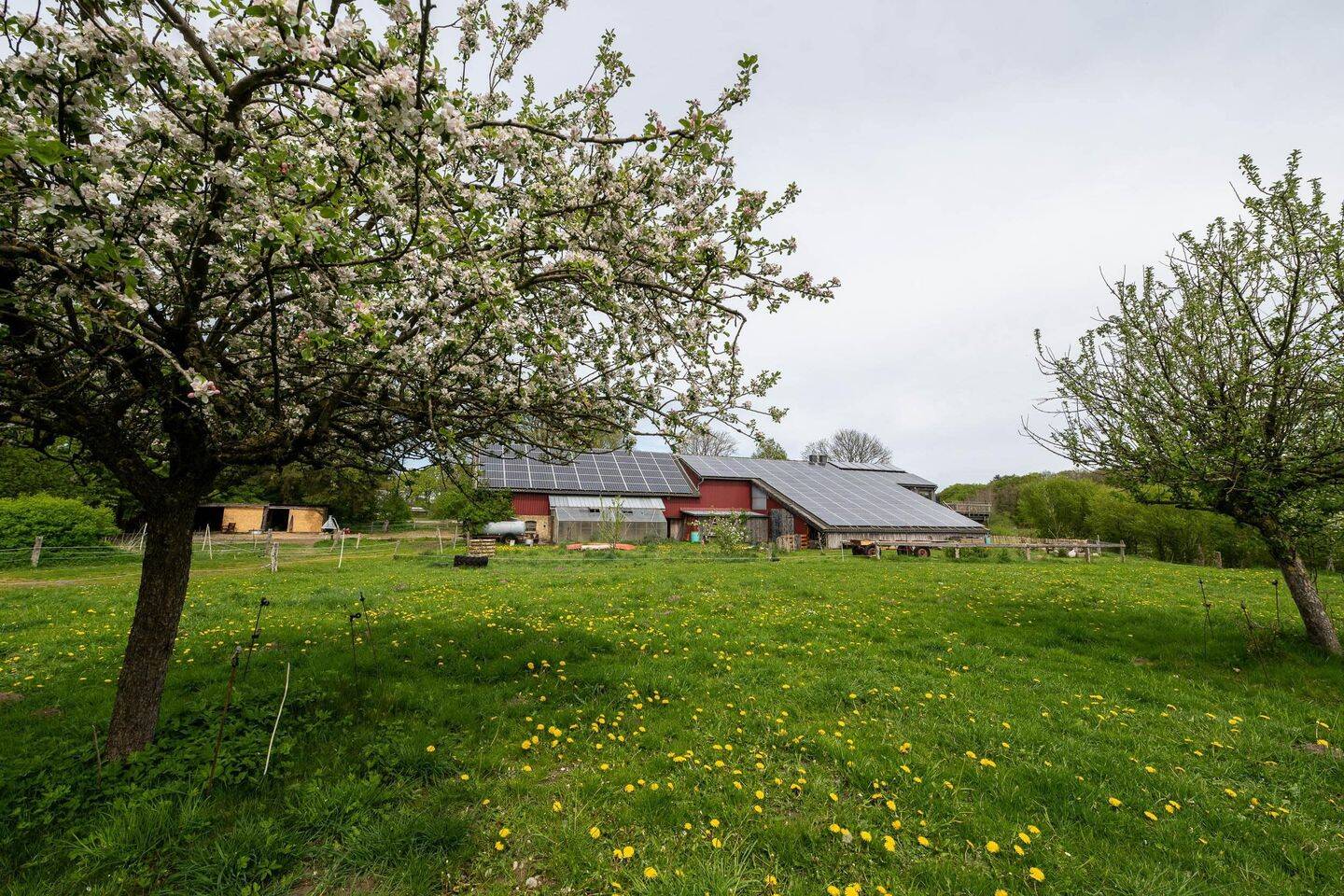Bild 8