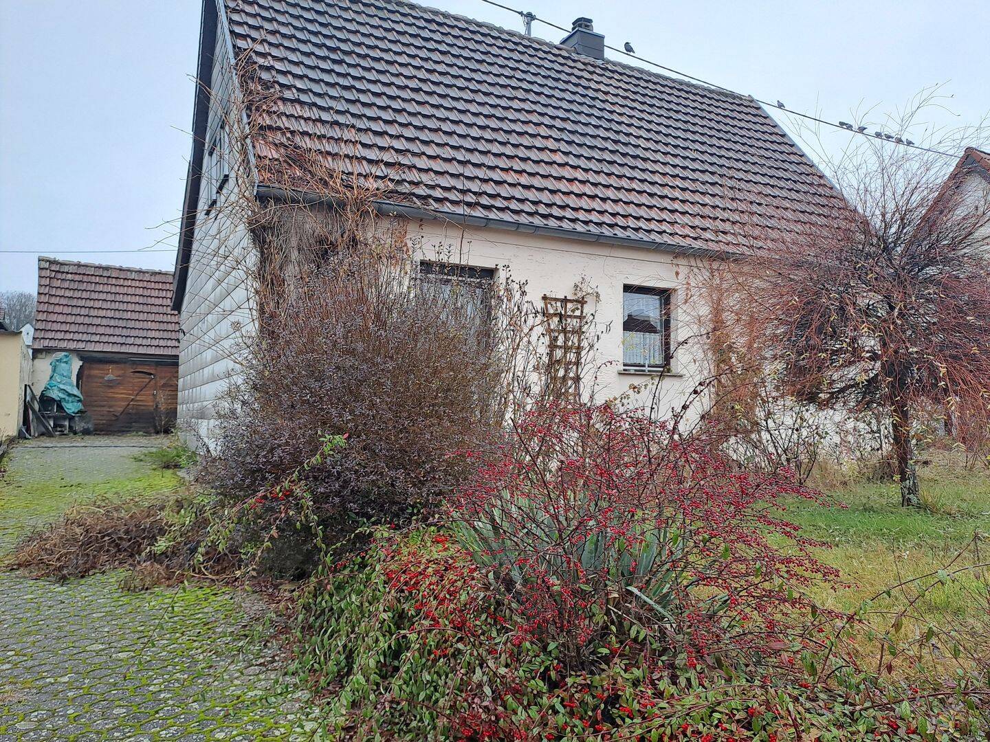 Bild 2