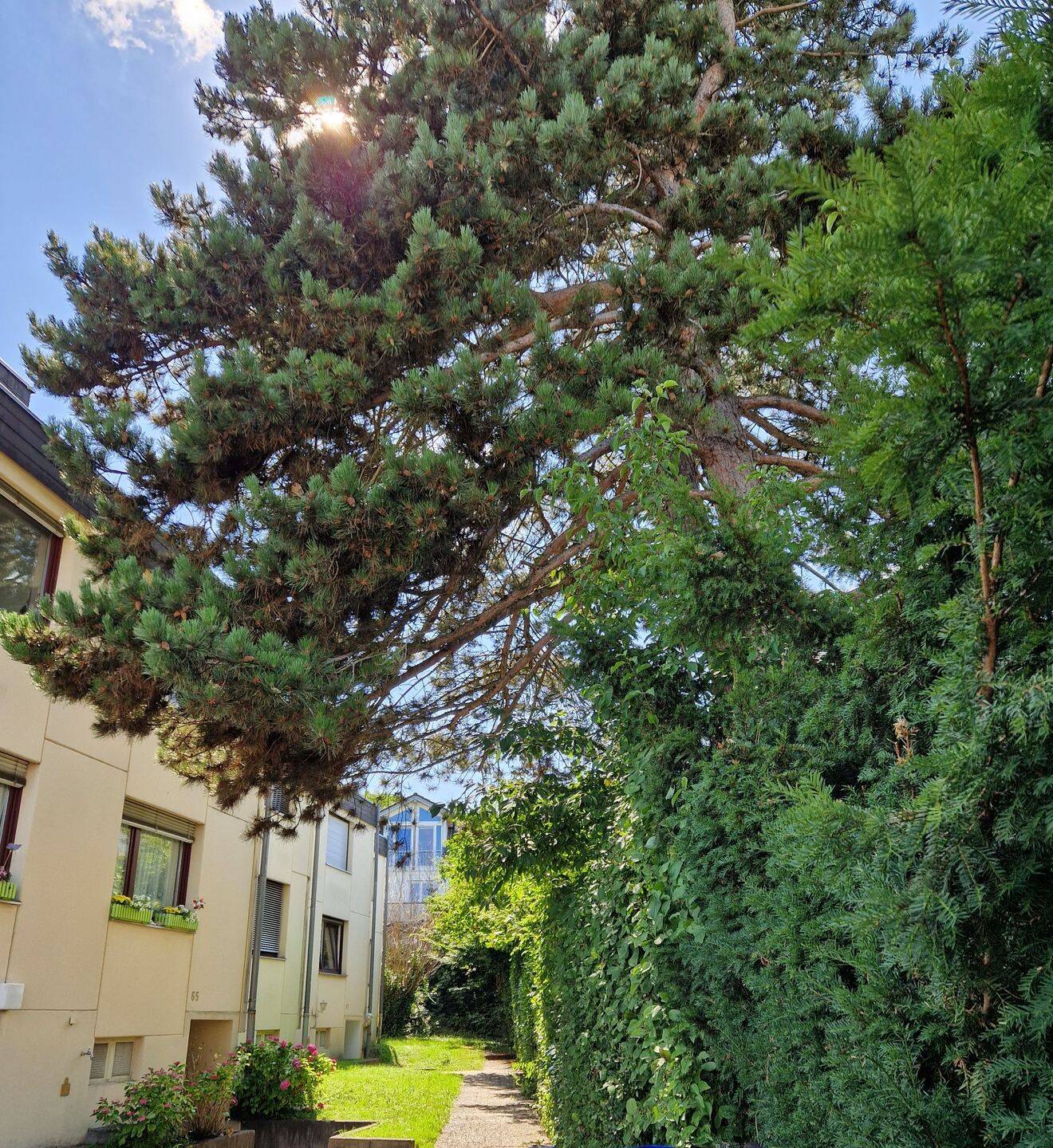 Helles 1-Zimmerapartment in KN-Litzelstetten, 78465 Konstanz