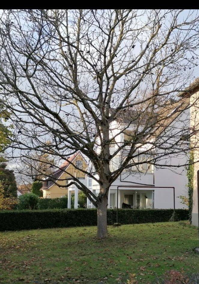 3 Zi Wohnung in Meersburg, 88709 Meersburg