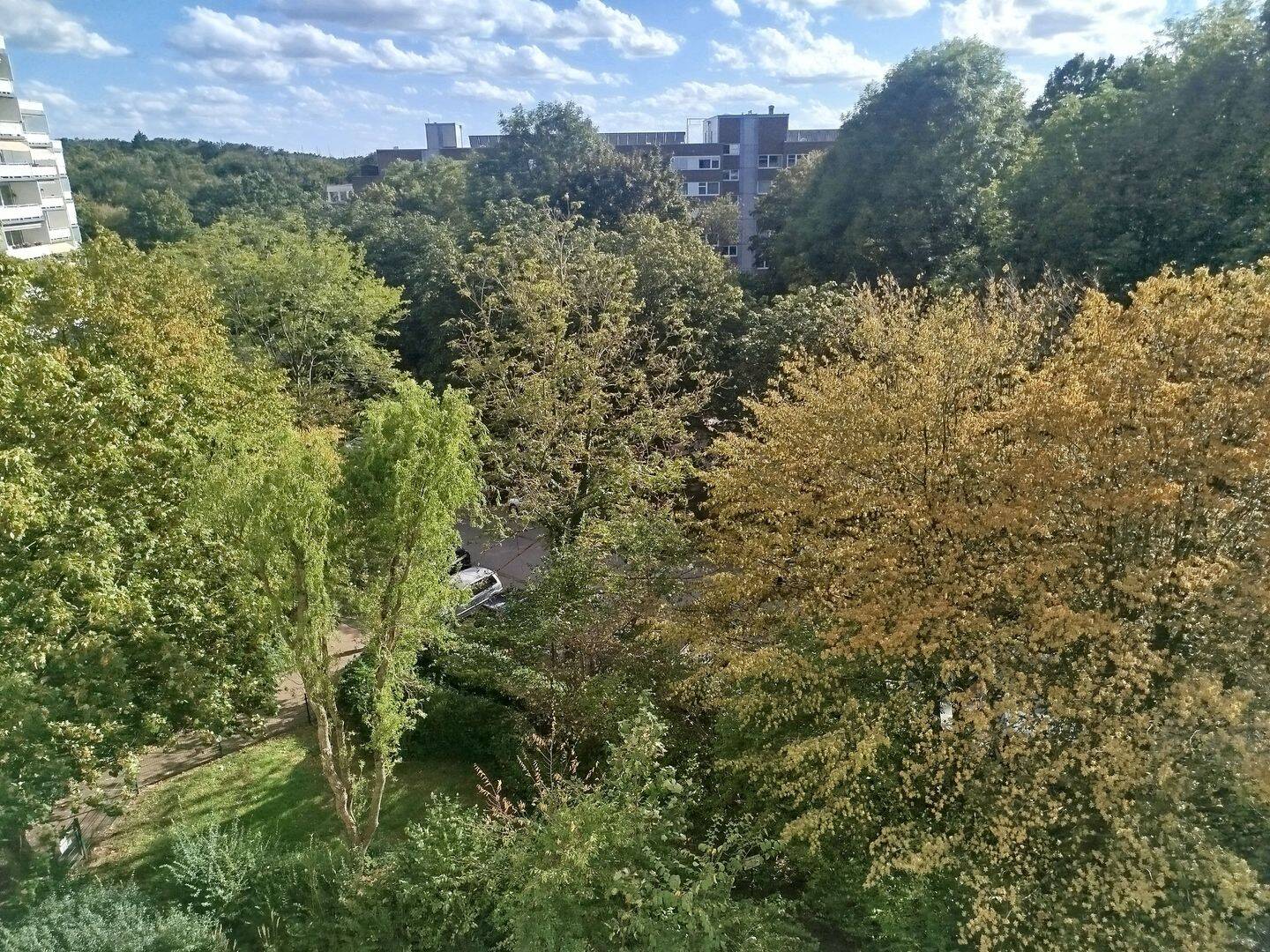 Dreizimmerwohnung in Bensberg, 51429 Bergisch Gladbach