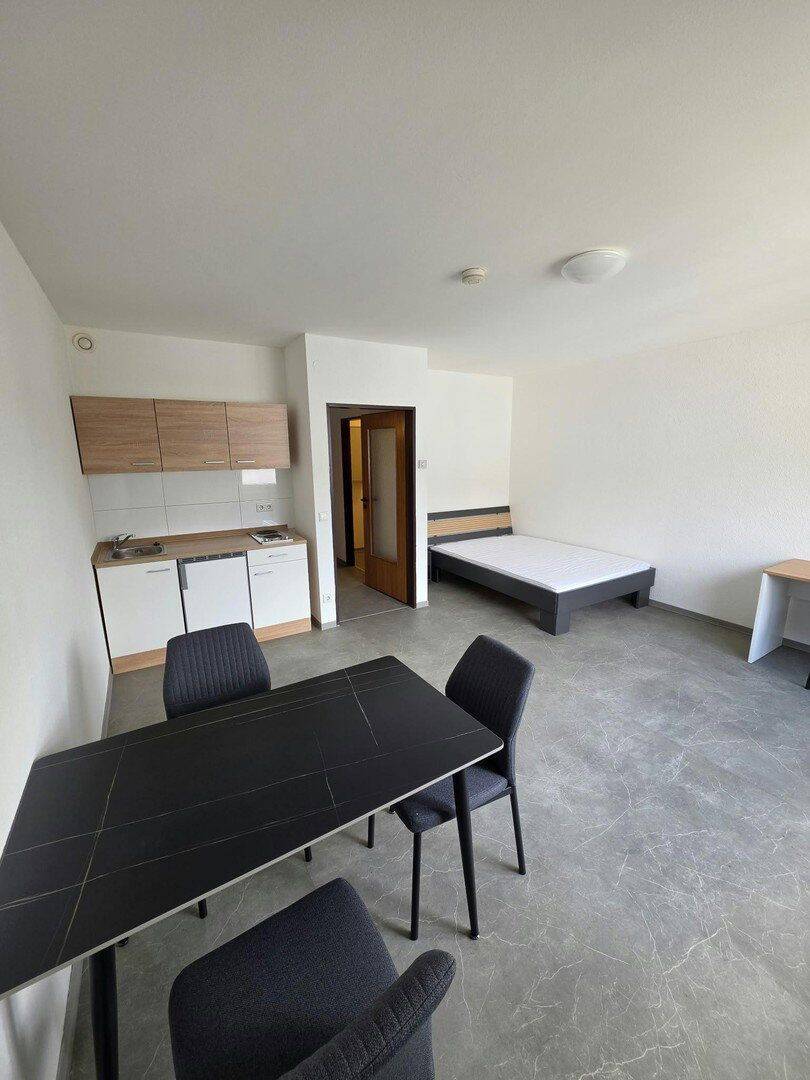Vollmöblierte 1-Zimmer-Wohnung – modern – 29 m² – sofort bezugsfrei!, 44137 Dortmund (Mitte)