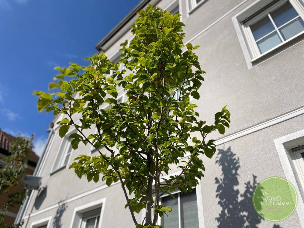 ** BESTLage ** in historischer Altstadt ** DIE Top 3 Zimmer-Garten-Whg ** 120 qm ** 2 Stellplätze **, 91413 Neustadt a.d. Aisch