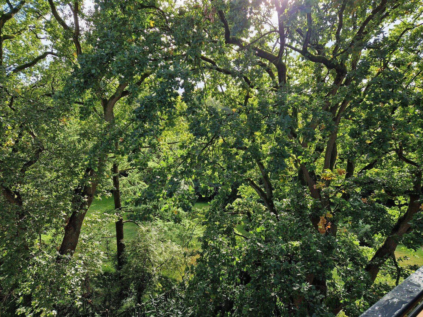 22399 HH-Poppenbüttel: Sehr schöne, helle, uneinsehb., möbl. Whg., Blick über Alstertal, 22399 Hamburg (Wandsbek Hummelsbüttel Lemsahl-Mellingstedt Poppenbüttel)