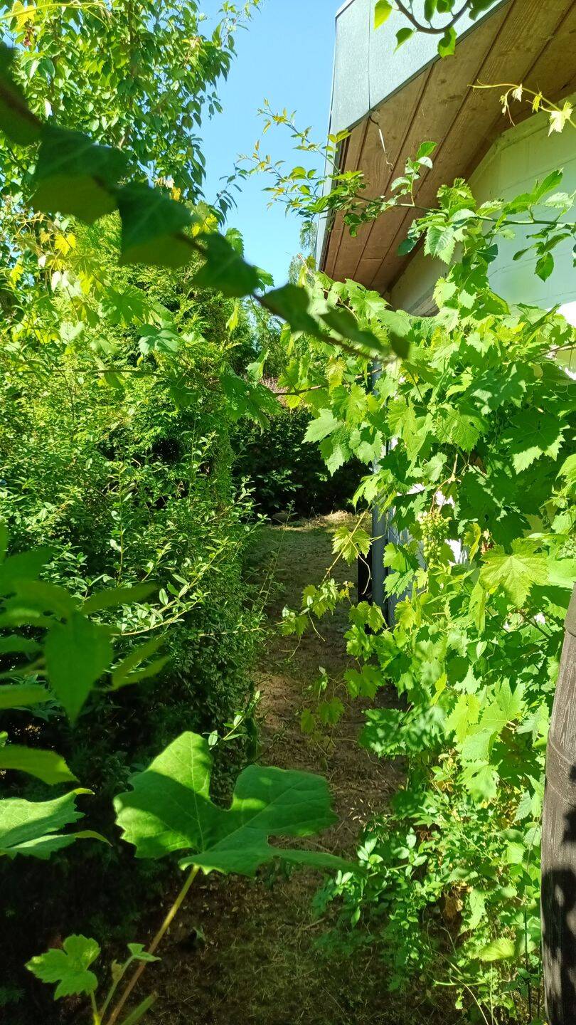 2-Zimmer-Wohnung in Panketal mit Garten, 16341 Panketal