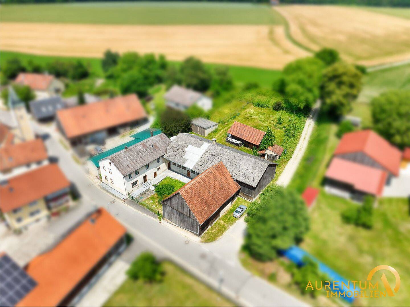 Sofort frei: 3-Seiten-Hof (Bauernhof), mit diversen Nebengebäuden (Stall und Scheune) – zu verkaufen, 93161 Sinzing