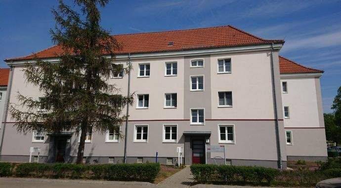 Geräumige 1-R-Wohnung in Dessau-Süd, 6849 Dessau-Roßlau (Haideburg Süd Törten)
