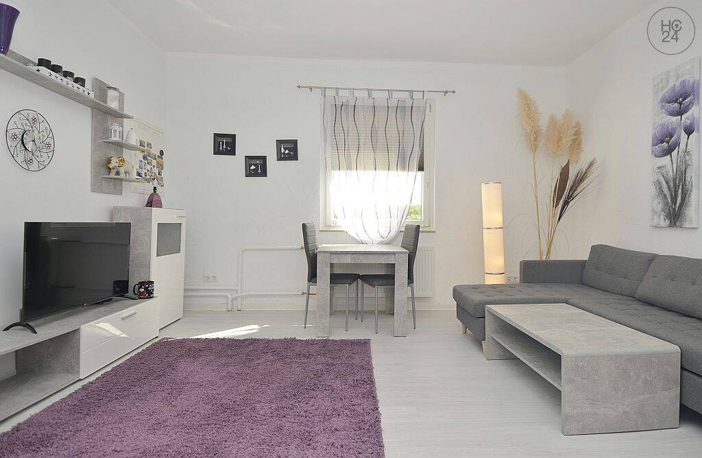 Schöne möblierte 2-Zimmer Wohnung mit Internet und Terrasse in Oppenheim, 55276 Oppenheim