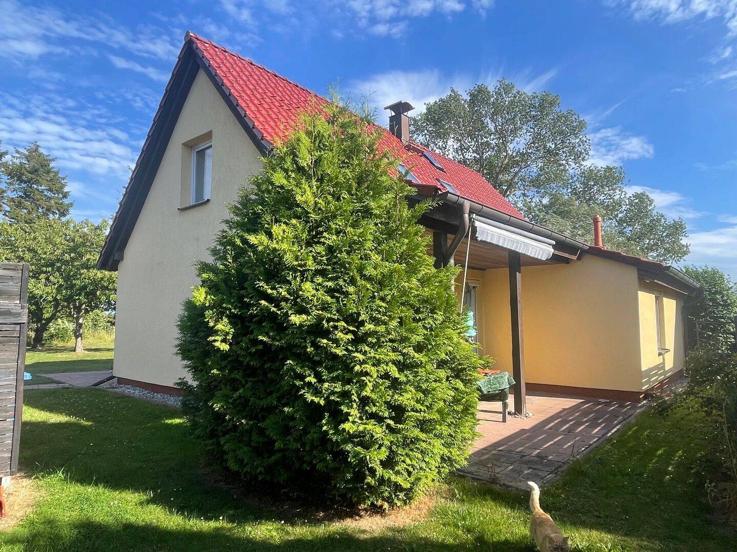 Bild 5