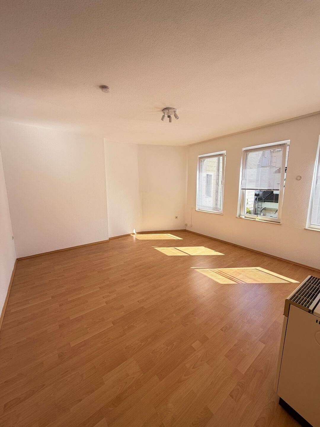 Großzügige 1-Zimmer-Wohnung im Hinterhaus, 90762 Fürth (Innenstadt)