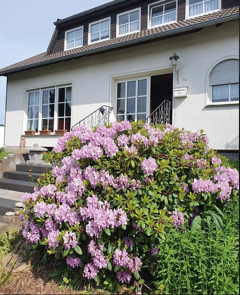 Großzügiges 1-2 Familienhaus in Hinzerath zu vermieten, 54497 Morbach