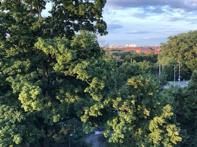 helle, neu renovierte 3-Zimmer Wohnung mit Balkon und Fernblick über Pegnitzauen, 90429 Nürnberg