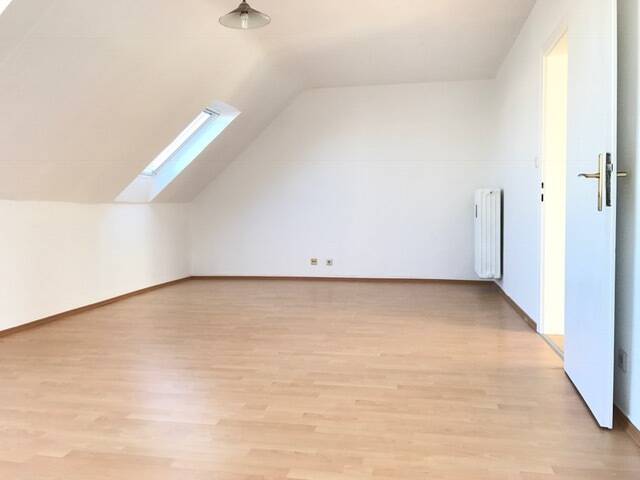 Großes helles Apartment in zentraler Lage, 53173 Bonn (Bad Godesberg Plittersdorf Rüngsdorf Alt-Godesberg)