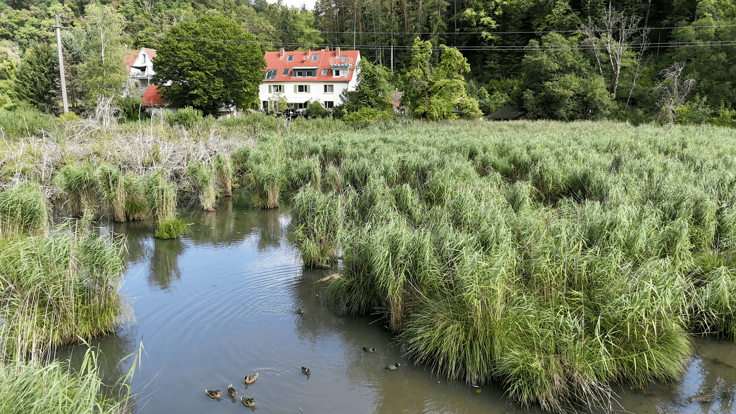 Zwei Häuser, ein besonderes Zuhause – großzügiges Wohnen mit Naturblick an der Schweizer Grenze, 79798 Jestetten