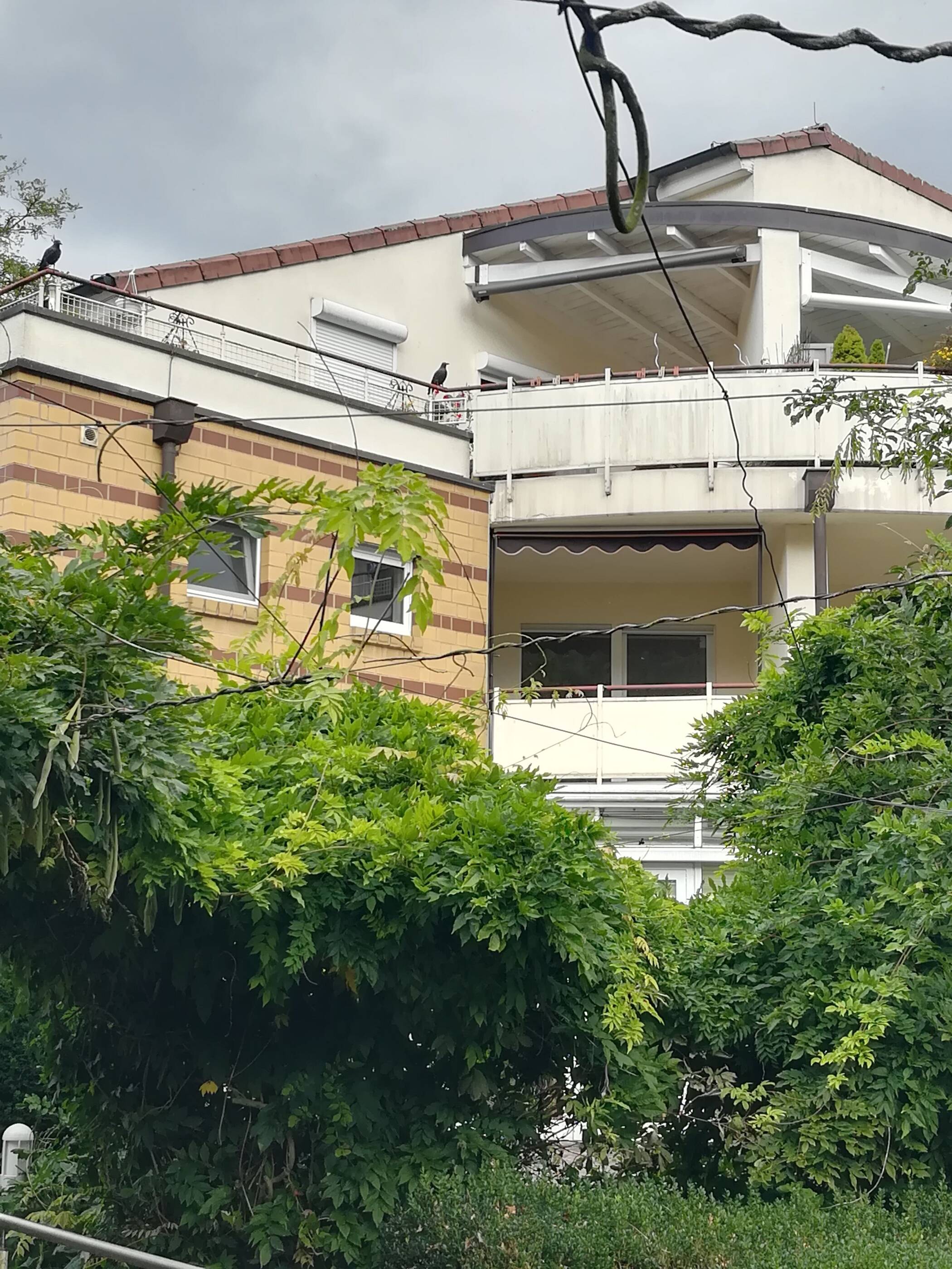 BETREUTES WOHNEN ab 60 Jahre: 2ZKB 61m² S/W Loggia, 49214 Bad Rothenfelde