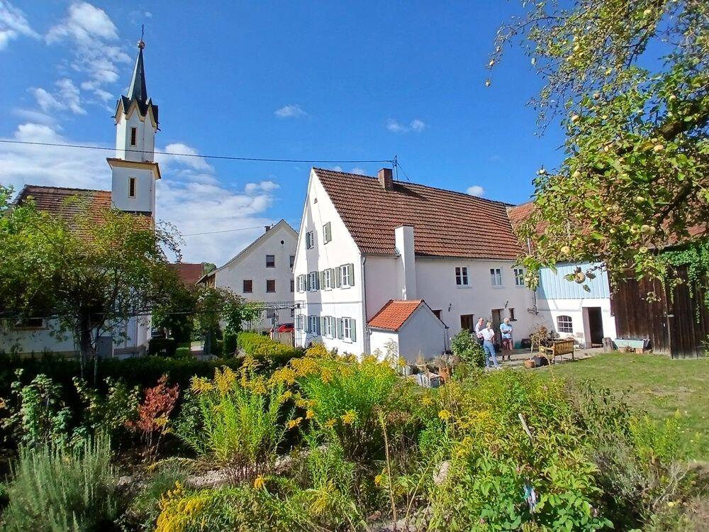 Bild 5