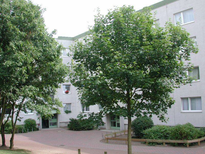 Mitten drin statt nur dabei: weitläufige 3-Zimmer-Wohnung, 24109 Kiel (Hasseldieksdamm Mettenhof)