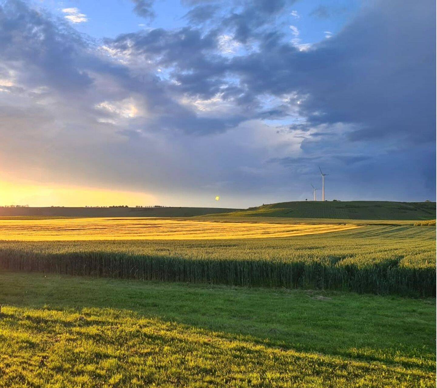 Naturliebhaber aufgepasst! 2,5 Zimmer-Wohnung im EG mit Terrasse & traumhaften Blick, 55278 Selzen