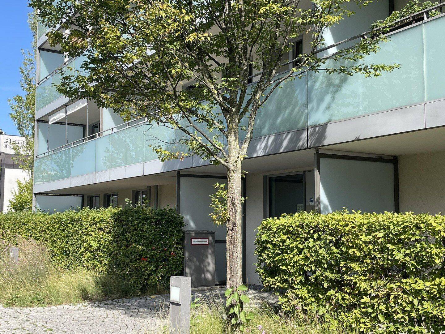 Frisch renovierte sonnige 2-Zimmer-Wohnung mit Westausrichtung, 80992 München (Moosach Neuhausen-Nymphenburg Pasing-Obermenzing)