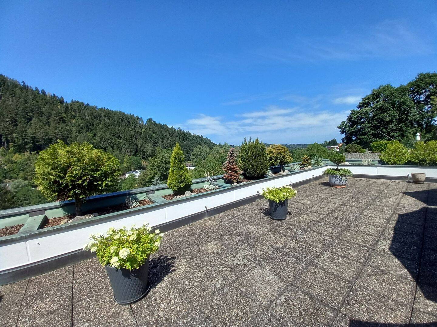 Ausblick und Freiheit / Außergewöhnliche Terrassenwohnung, 76593 Gernsbach