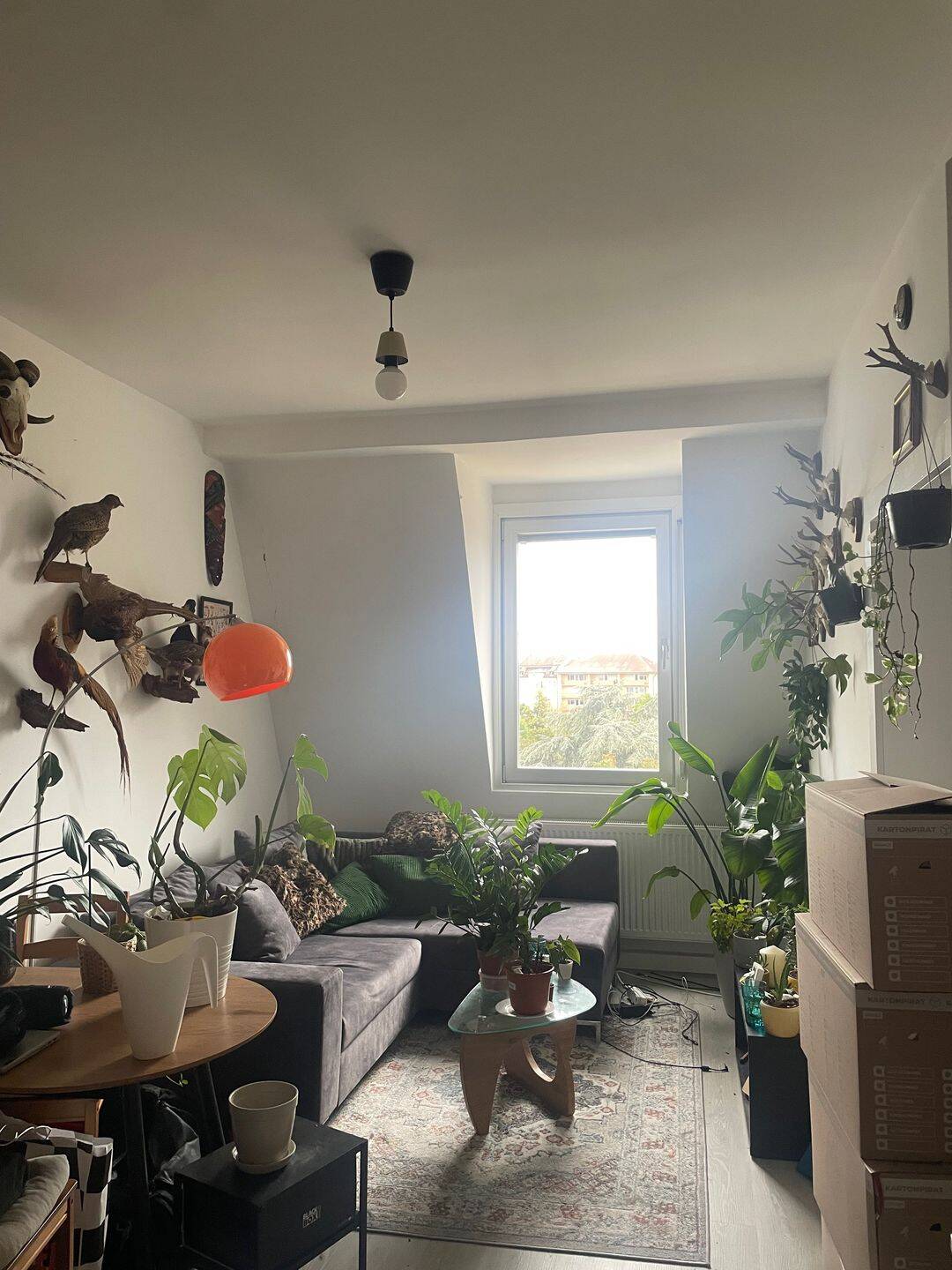 2 Zimmer Wohnung nahe Stadtmitte, 90461 Nürnberg
