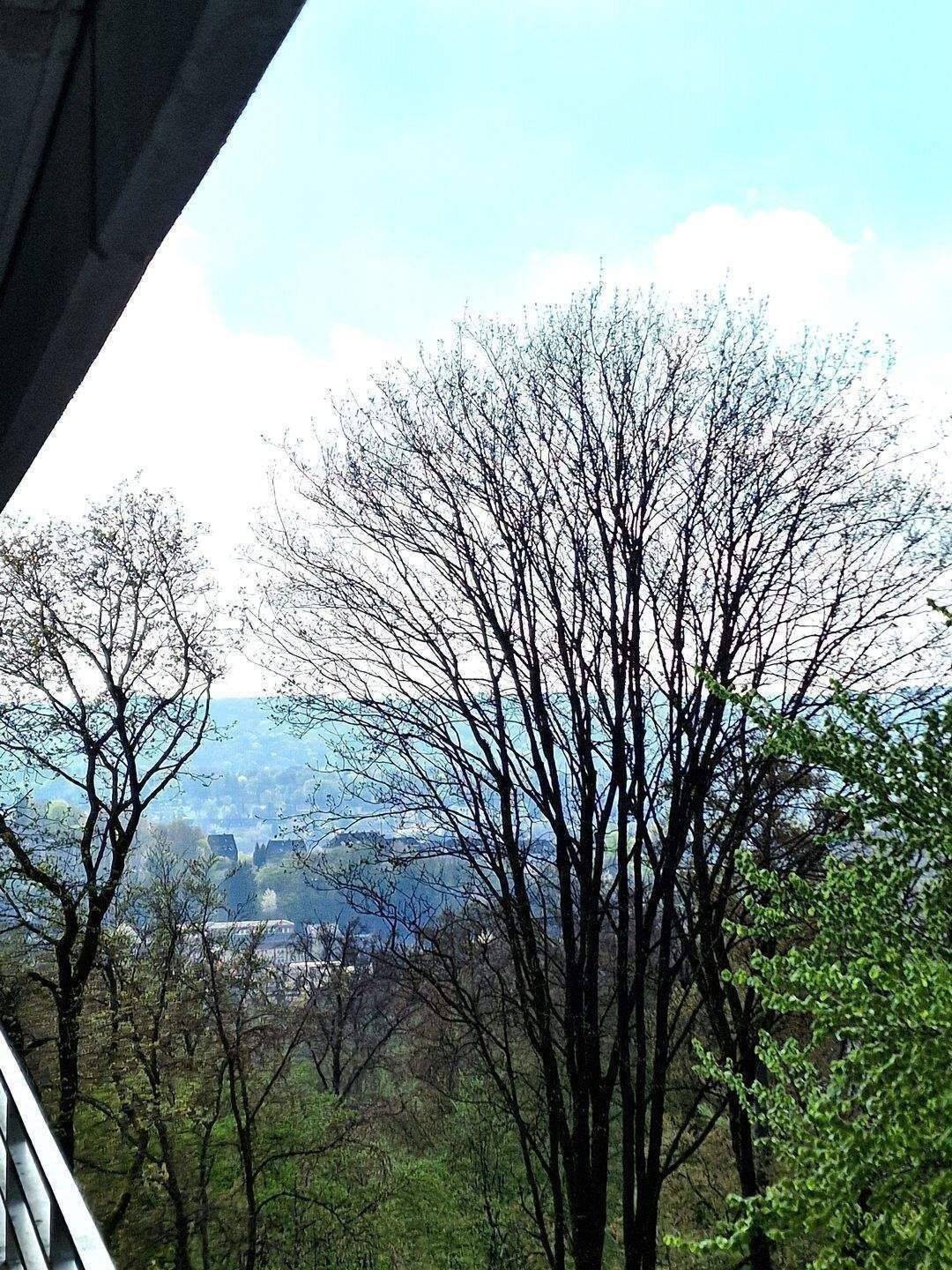 IMWRC – Uellendahl-Katernberg bietet 2-Zimmer-ETW mit großer Loggia und grünem Ausblick!, 42109 Wuppertal (Elberfeld)