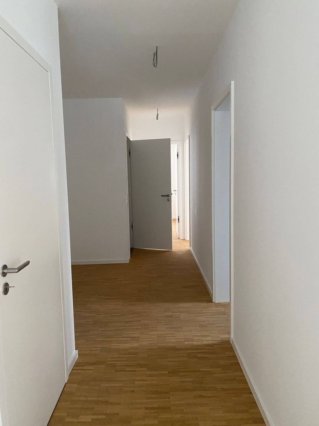 Traumhafte 2-Zimmer-Wohnung mit Terrasse und Gartenmitbenutzung direkt am Neckar in Heidelberg, 69118 Heidelberg (Peterstal Schlierbach Ziegelhausen)