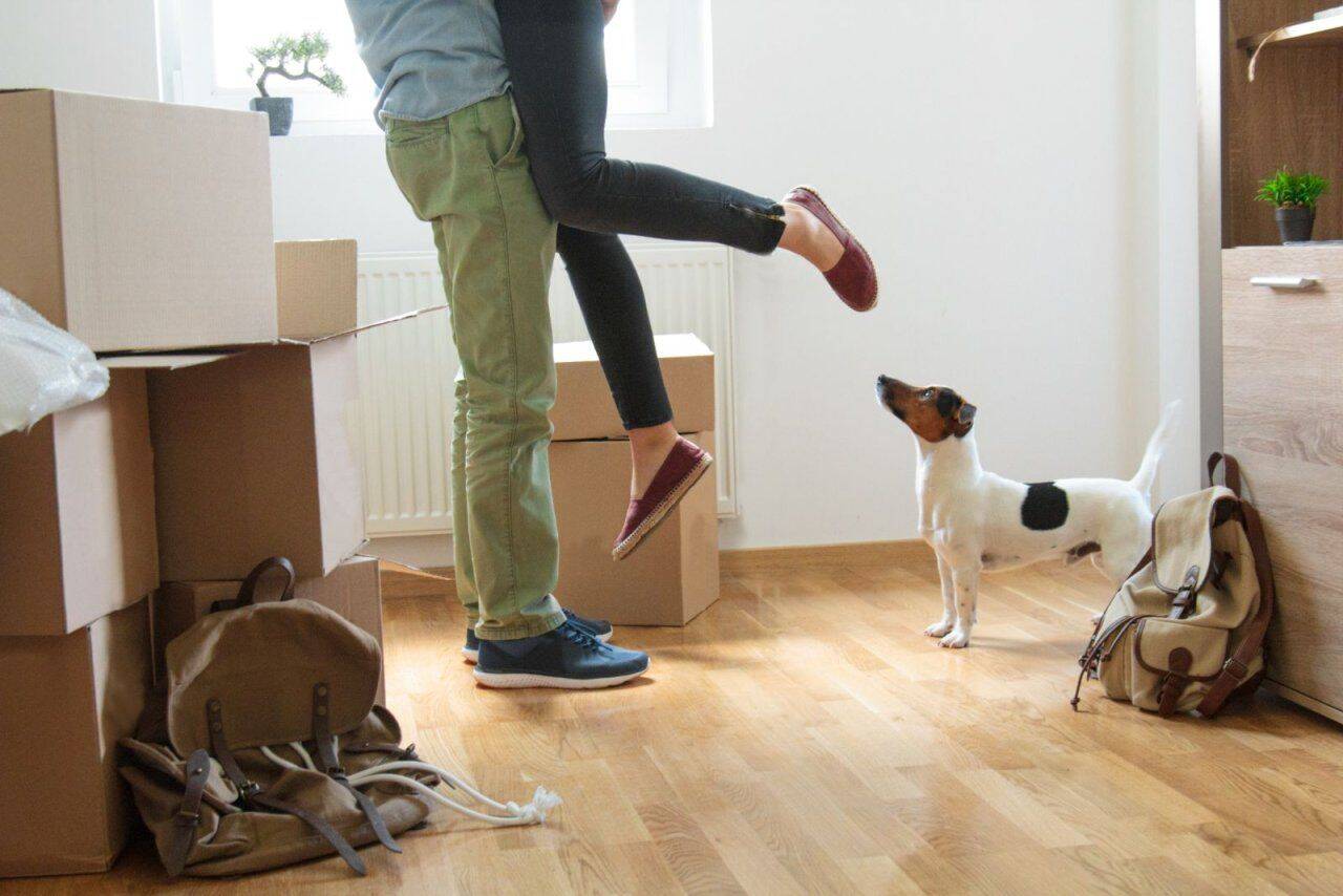 Modern Family Line – Neubau ImKfW 40-Standard – von Streif, 35510 Butzbach